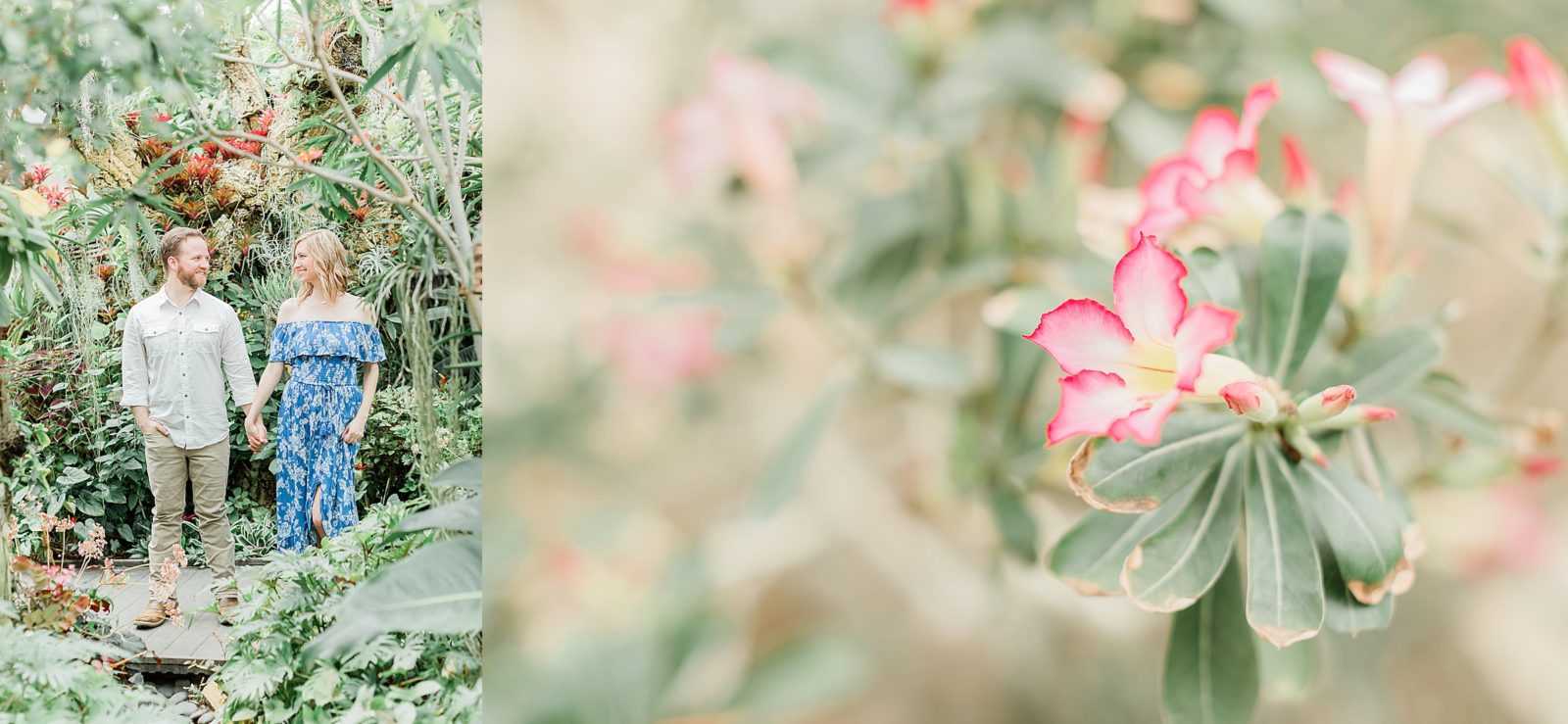 Romantic Engagement at The San Antonio Botanical Gardens, Anna Kay Photography, San Antonio Wedding Photography 
