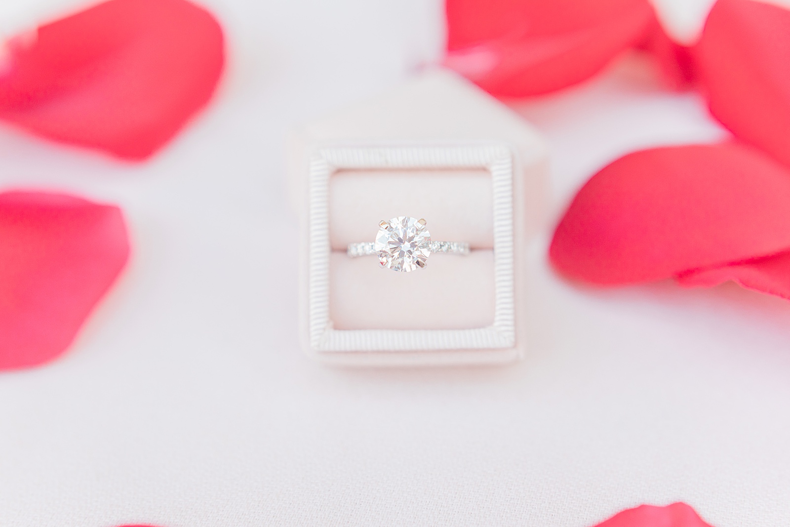 Princess Cut Engagement Ring, San Antonio Rooftop Proposal