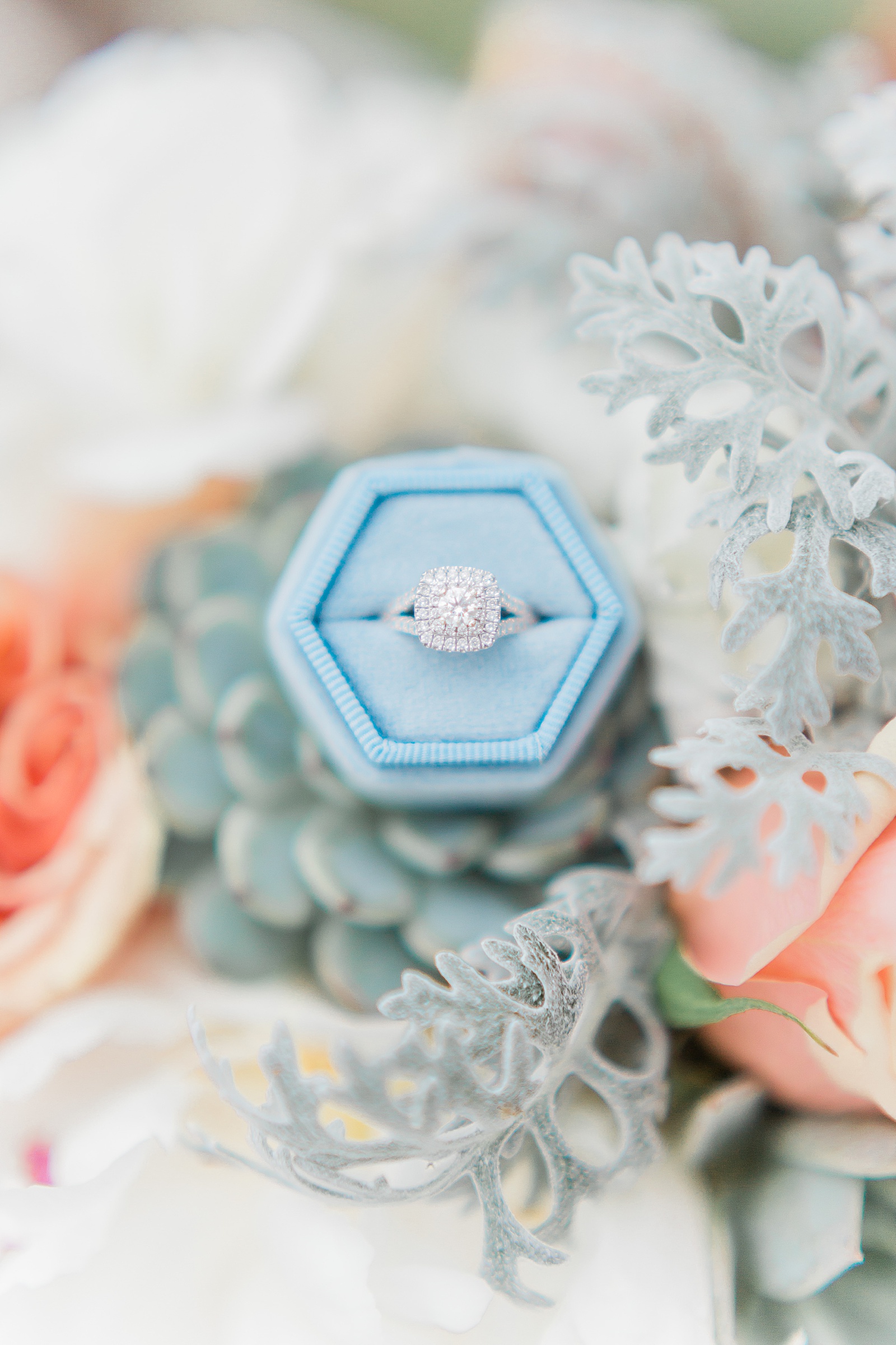 Engagement Ring in Succulents, Anna Kay Photography, Destination Wedding Photographer