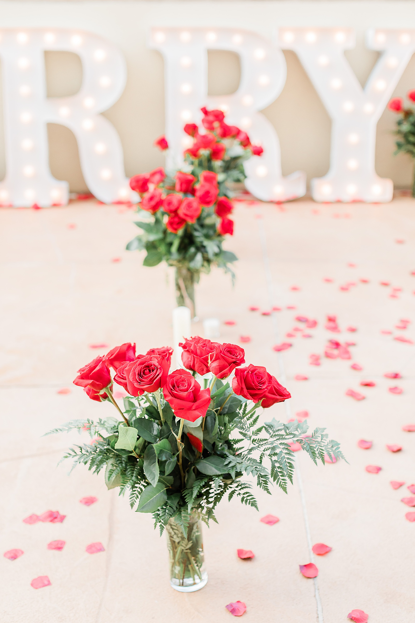 Rose Pathway for Proposal, Anna Kay Photography