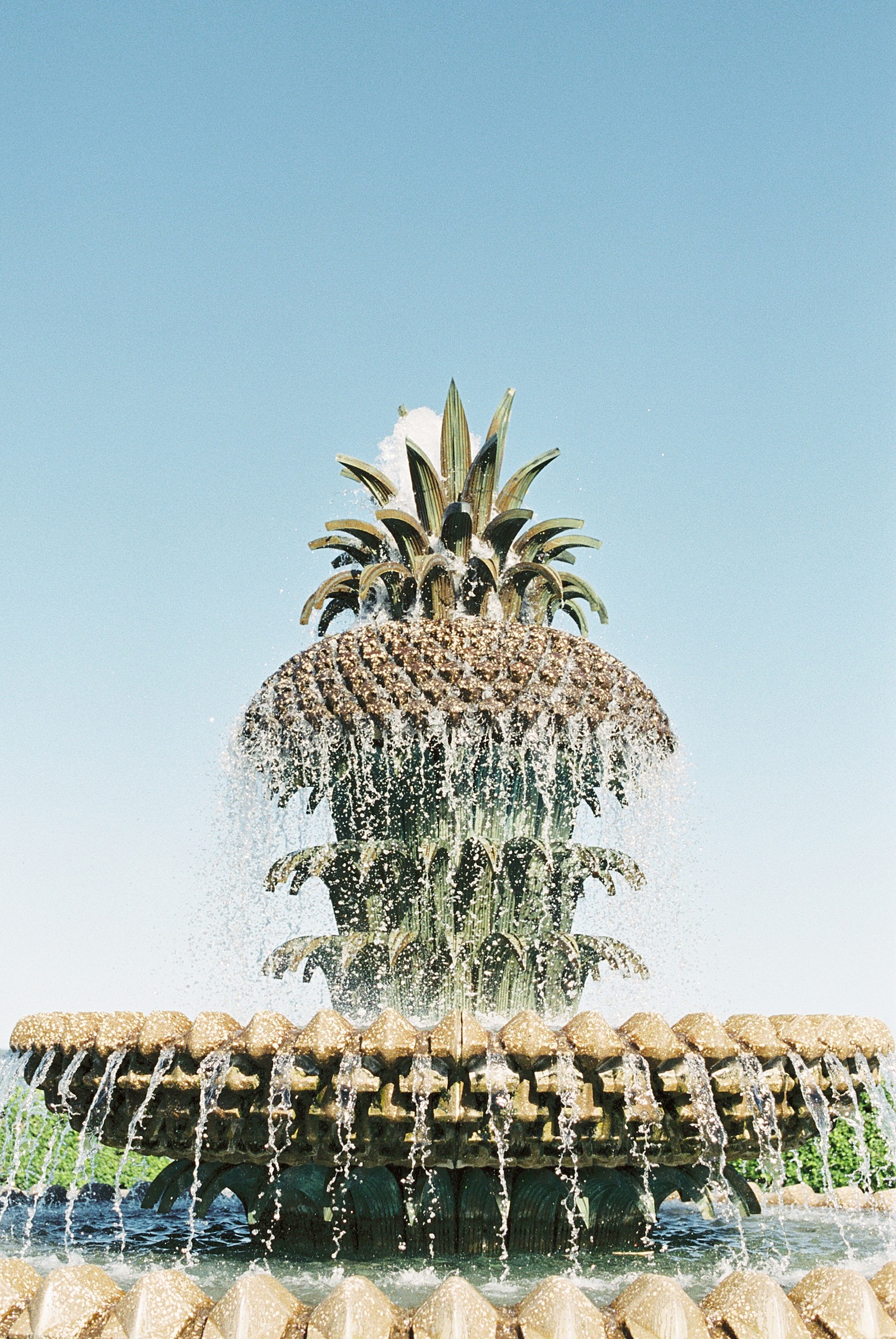 Pineapple Park Fountain in Charleston South Carolina