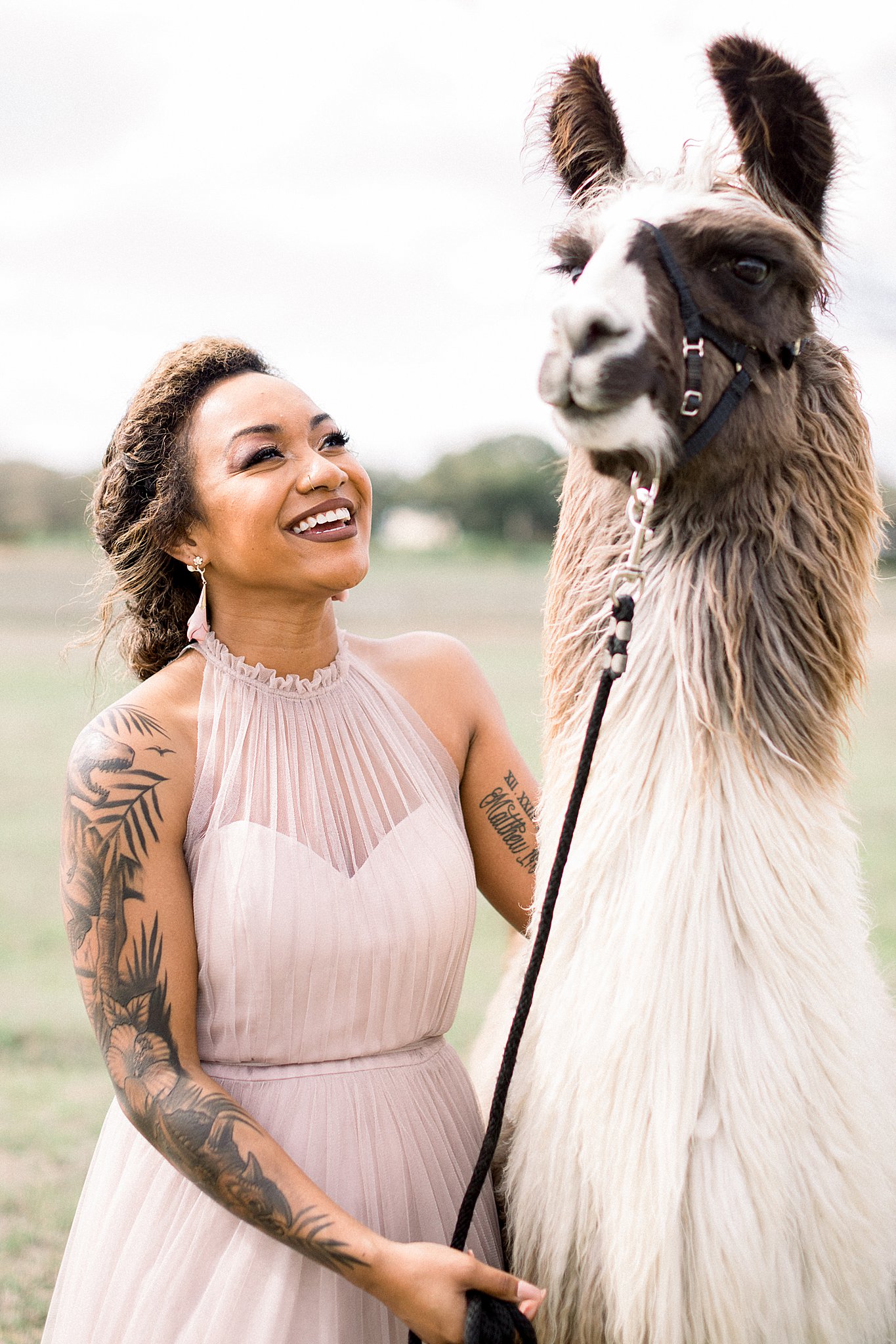 Bride with Llama at Texas Hill Country Wedding
