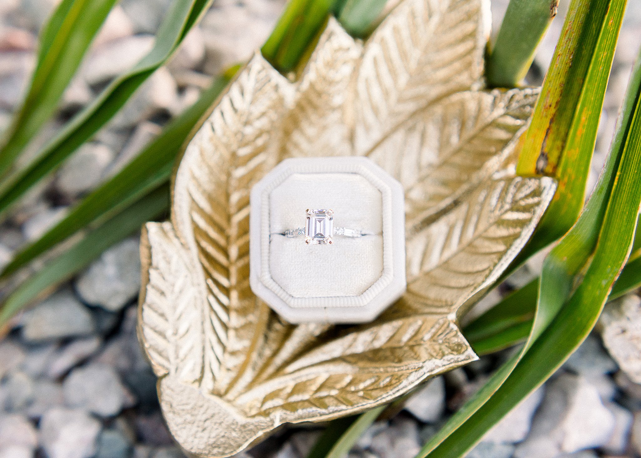 Emerald Cut Engagement Ring in Custom Ring Box